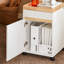 Sharun 63cm Wide File Cabinet