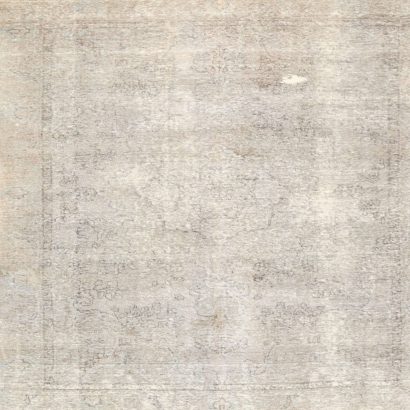 Timeo Performance Oriental Indoor Rug, Square 8'