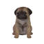 Statue chiot carlin assis