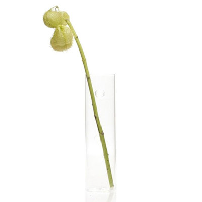 Glass Wall Vase
