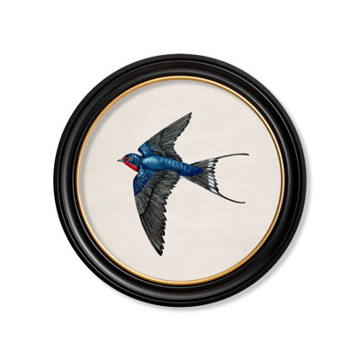 Swallow Left Facing by Mid-1800s - Single Picture Frame Print on Archival Matt 230gsm Paper