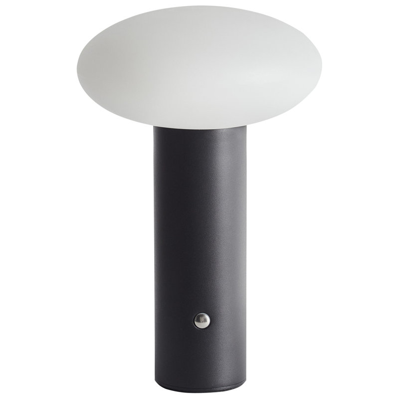 BUAYAN USB Novelty Lamp, Black