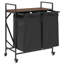 Laundry Sorter
