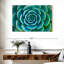 «Live Succulent», reproduction sur toile-92279630