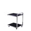 Luxe Glass and Stainless Steel Bar Cart