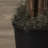Artificial Blossom Tree-23975457