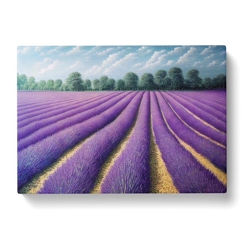 A Superb Lavender Flower Field - Wrapped Canvas Painting, 40cm H x 60cm W x 3cm D