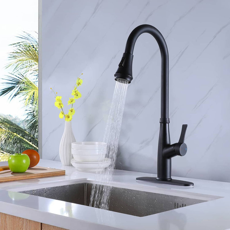 Robinet de cuisine avec douchette extractible et robinets d'évier de cuisine à une poignée, Noir mat
