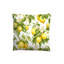 100% Cotton 54 TC 2 Piece Duvet Cover Set-98301313