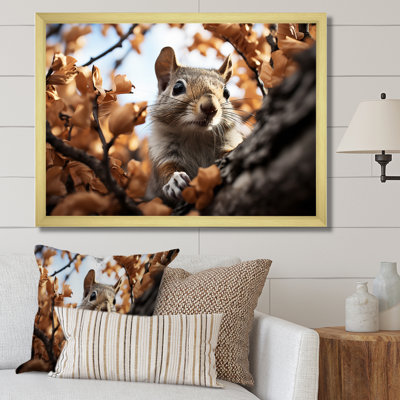 " Grey Squirrel Squirrels Antics "
