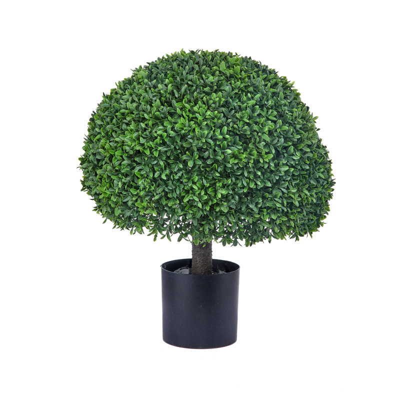 20" Artificial Boxwood Dome in Pot