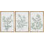 «Greenest Plant Leaves Botanical», 3 pièces-99077847-99077846
