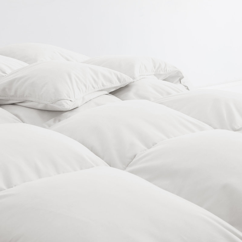 Édredon épais en duvet d'oie blanche, Simple, Blanc