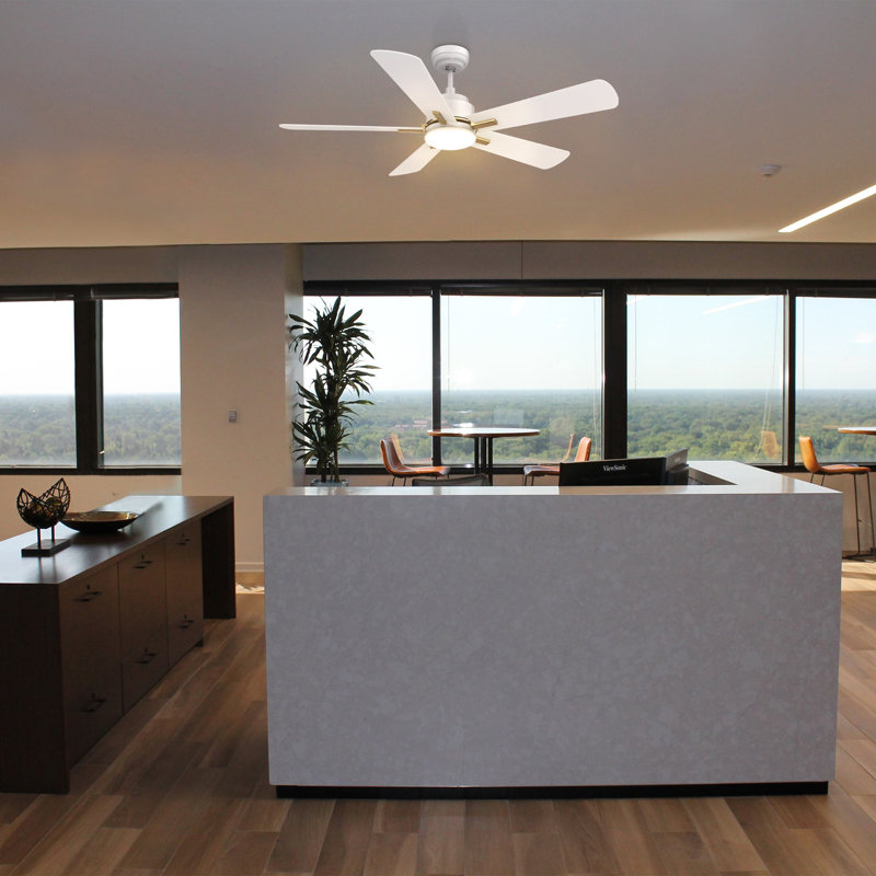 Ventilateur de plafond intelligent 52 po avec télécommande Olinda, ensemble d'éclairage inclus, fonctionne avec l'assistant Google et Amazon Alexa, raccourci Siri.