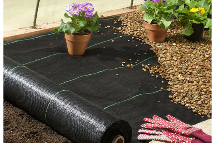 landscaping supplies including a potted flowers, gardening gloves, and fabric weed preventer