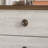 Rissie Gorgeous Upholstered Bed With 2 Nightstands In Linen-704555108-704555109