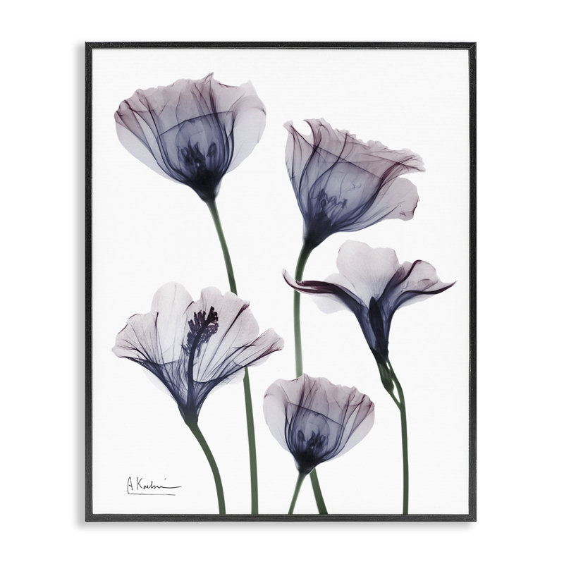 Giclée encadrée de fleurs fraîches subtiles, conception par Albert Koetsier, H 20 po x l 16 po, Giclée encadrée noir minuit
