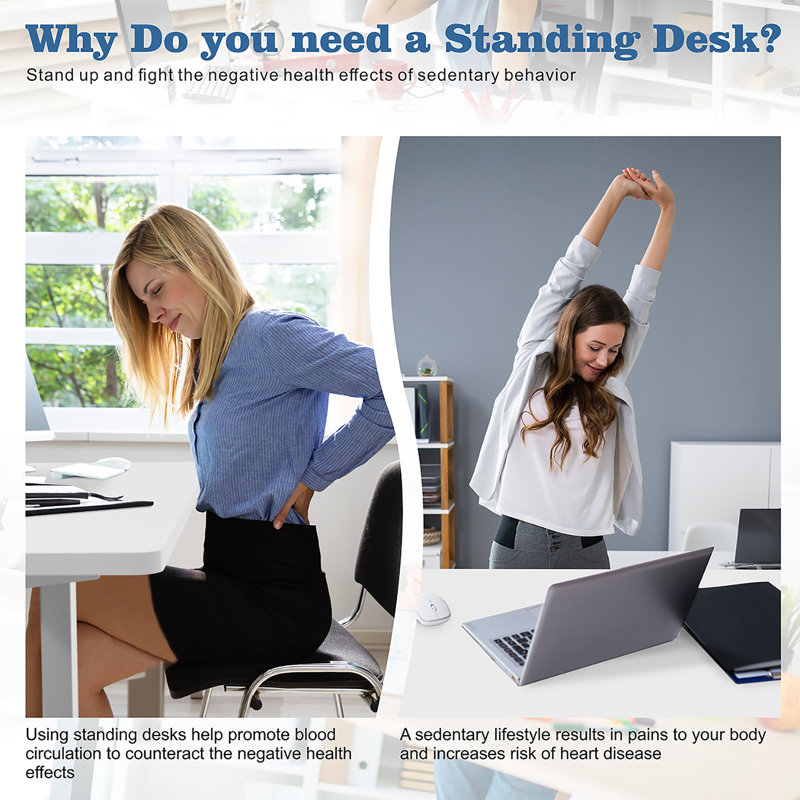 Gilman Home Office Height Adjustable Standing Desk, White/White, 27.5" H x 63" W x 24" D