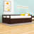 Levay Daybed with Trundle and 2 Drawers -1949978125