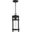 Lanterne suspendue d'extérieur noir mat à 1 ampoule Ryder 16,38 "H