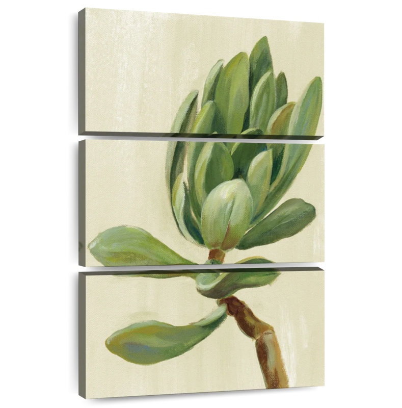 Harnek Front Yard Succulent III, 50" H x 32" W