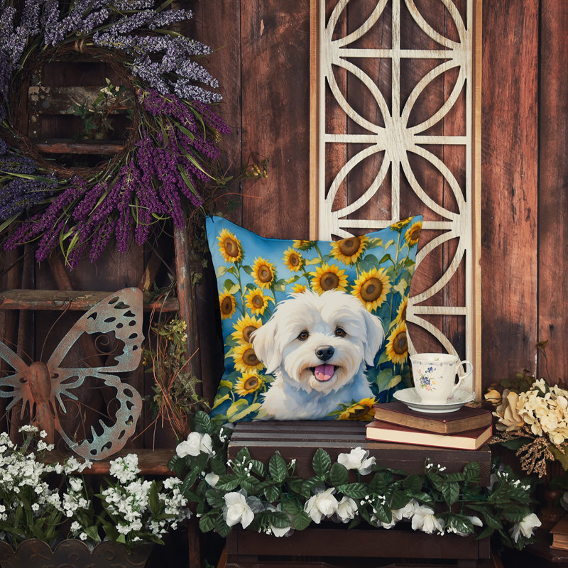 Outdoor Throw Pillow, 14" H x 14" W