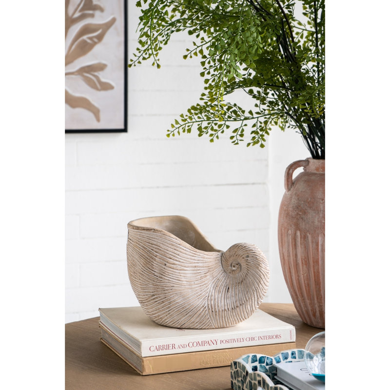 Textured Beige 8.5X5.5X6.3 Inches Sand And Cement Shell Planter, Suitable For Planting Planter With Look, Ideal Arrangements