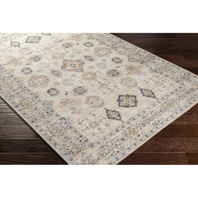 Emmie Oriental Beige/Olive/Denim/Charcoal/Sage Area Rug, Rectangle 2'7" x 4'