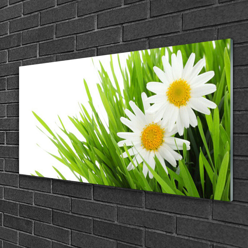 Glasbild Grass Daisies Floral