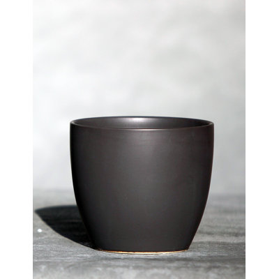 Peace Lily Cache Pot By 