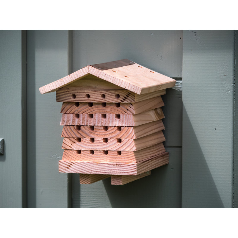 Gunulf Wall Mounted Bumblebee House