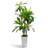 6FT Faux Dracaena Tree