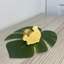 Gidney Mini Bear Ornament Statue-1399307387