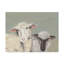 « doux agneaues i », peinture sur toile tendue-1348902981