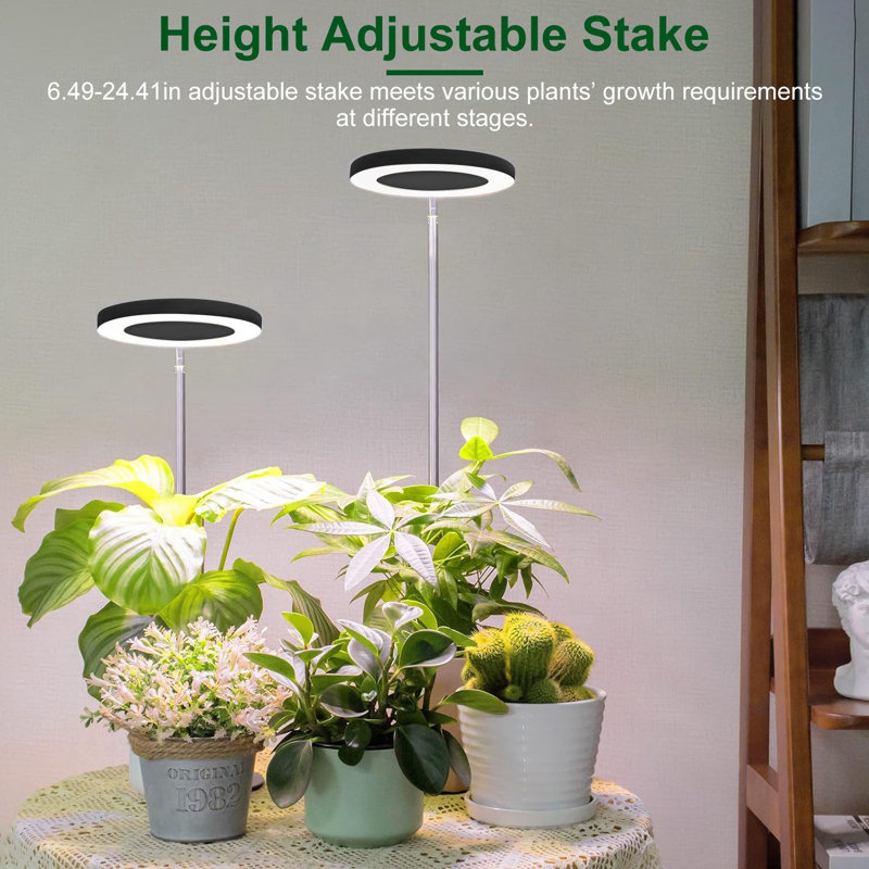 Wrought Studio