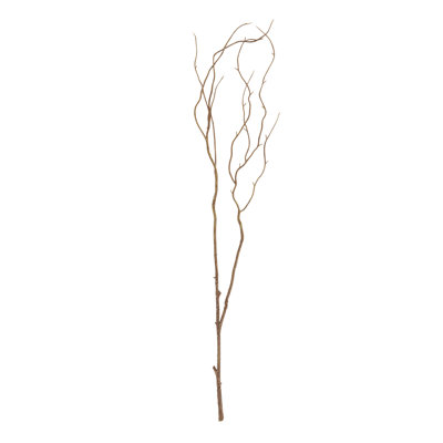 Ensemble de 12 fleurs Willow Twig