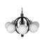 Carousel 8 - Light Chandelier