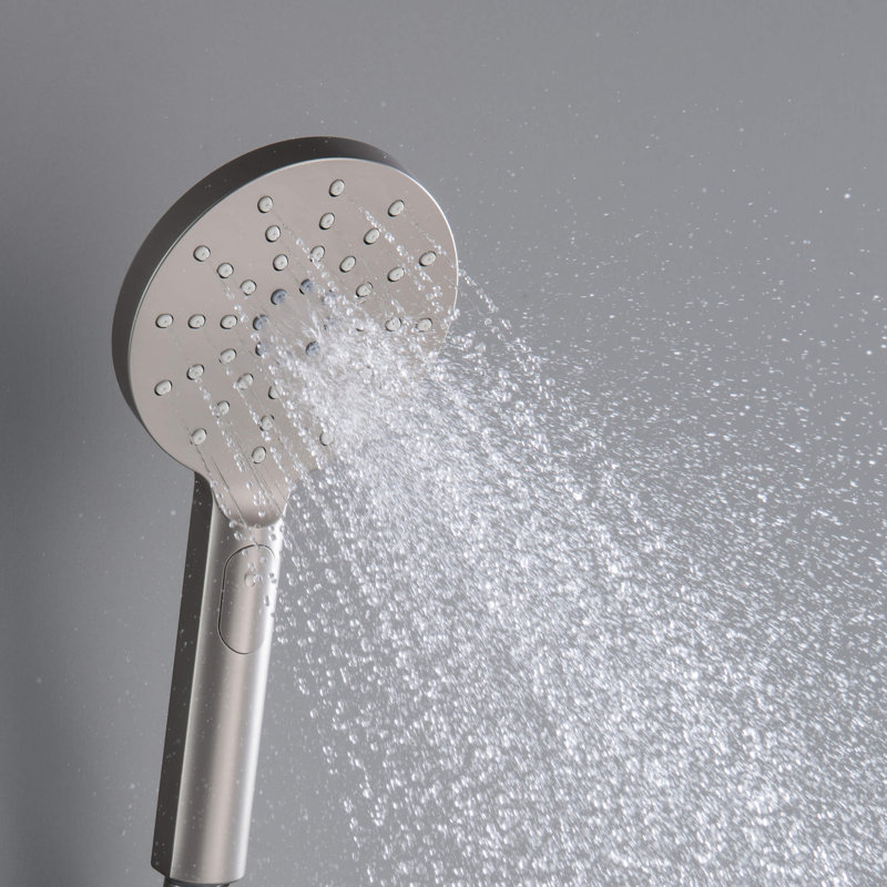Full/Standard Handheld Shower Head 1.75 GPM GPM, Brushed Nickel
