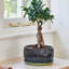  Pair of Round Reactive Glaze Bonsai Planter with Saucer-714009947