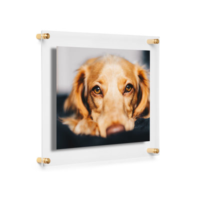Devian Clear Acrylic Floating Picture Frame