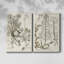 Toile tendue avec châssis sépia Botanical Journal-1690380101