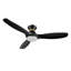 Ventilateur de plafond intelligent à moteur à courant continu de 52 pouces avec lumière, tige et télécommande-132059850