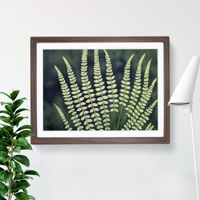 Beguiling Fern Leaf - Framed Print