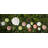 Maria Flor Dessert Plate Daisy
