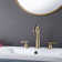 Widespread 2-handle Bathroom Faucet