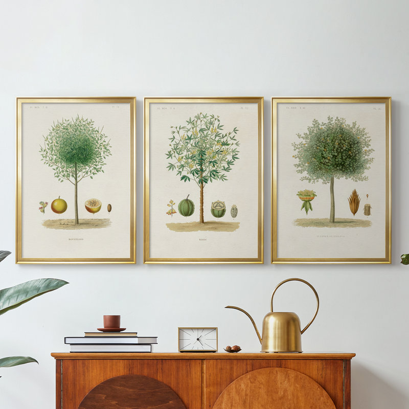 Arbre antique avec fruit VII - Toile tendue avec châssis sur mesure - 3 pièces, H 19 po x l 27 po, Doré
