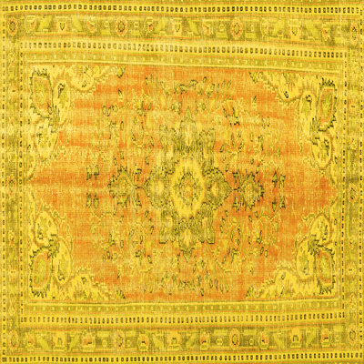 Oriental Indoor Rug