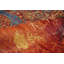 Aryana Wool Area Rug