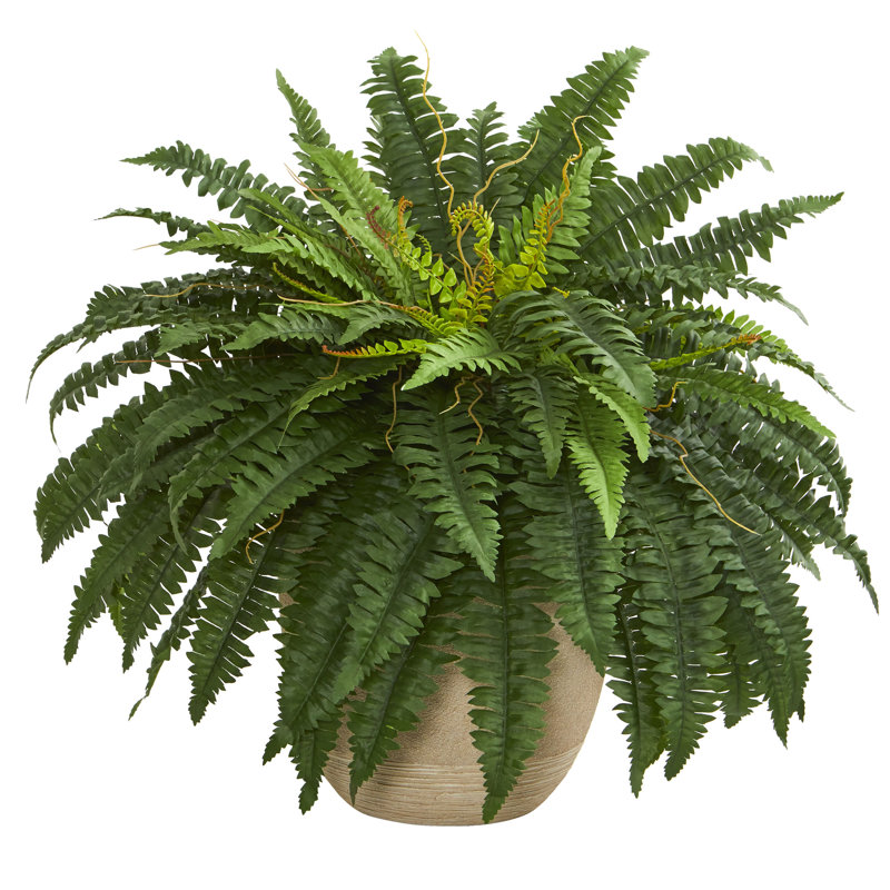 Fougère artificielle en pot, H 22 po x l 30 po