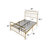 Colina Metal Bed-1758617516-1748158145